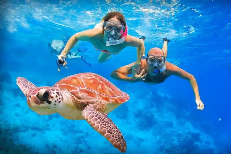 Abu Dabbab Schnorchel-Ausflug | Schwimmen mit Schildkröten