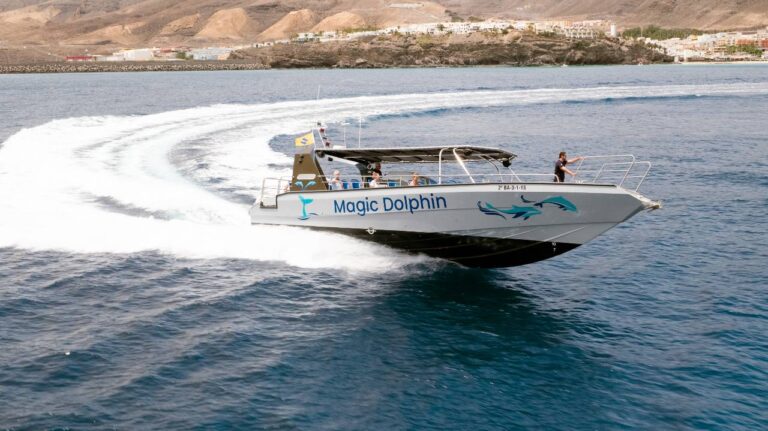 Speedboot auf dem Roten Meer