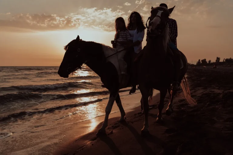 Pferd- & Kamelreiten: Unvergessliche Momente am Strand & in der Wüste