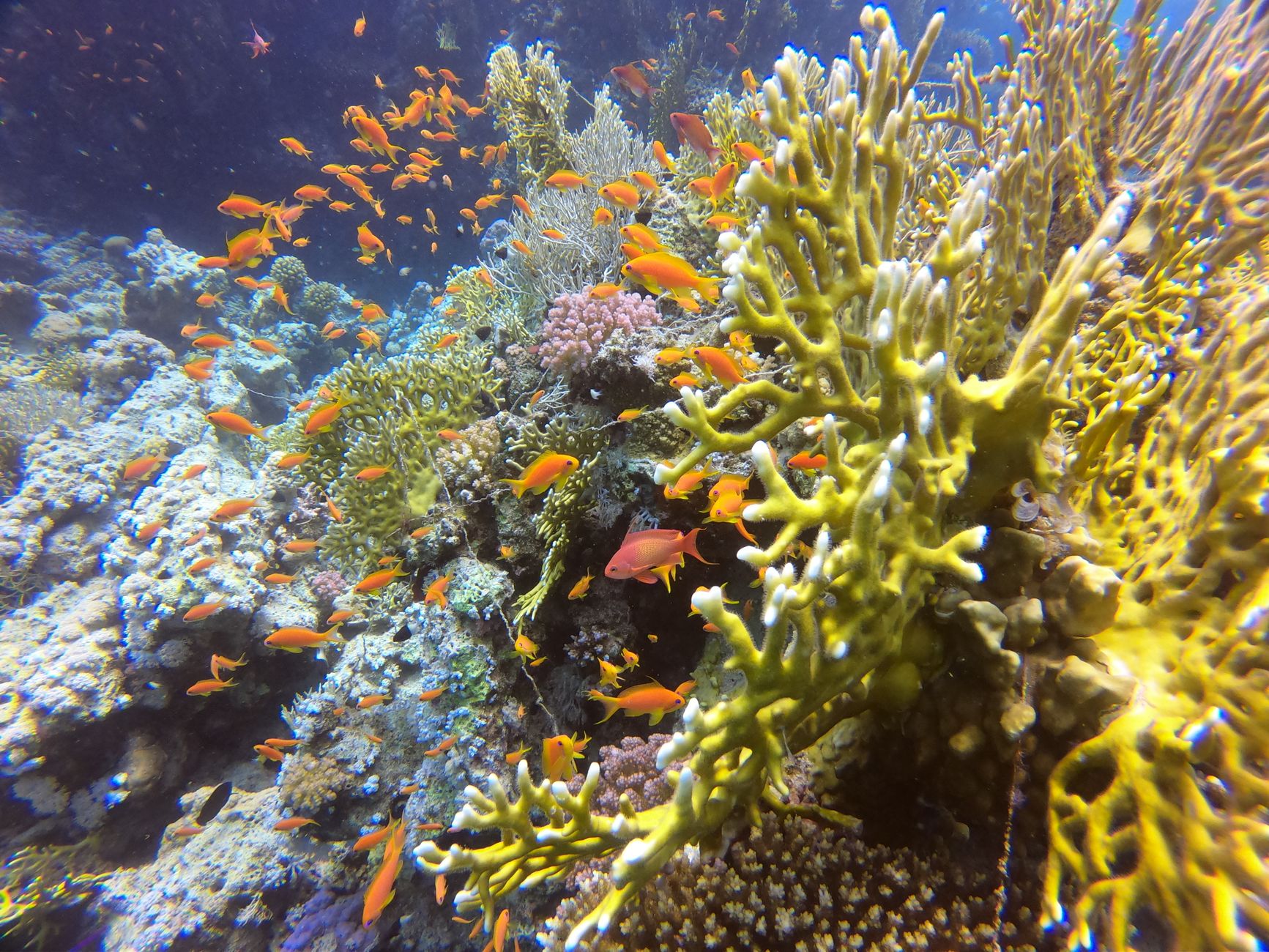 Ruhige Lagune in Makadi Bay mit türkisem Wasser