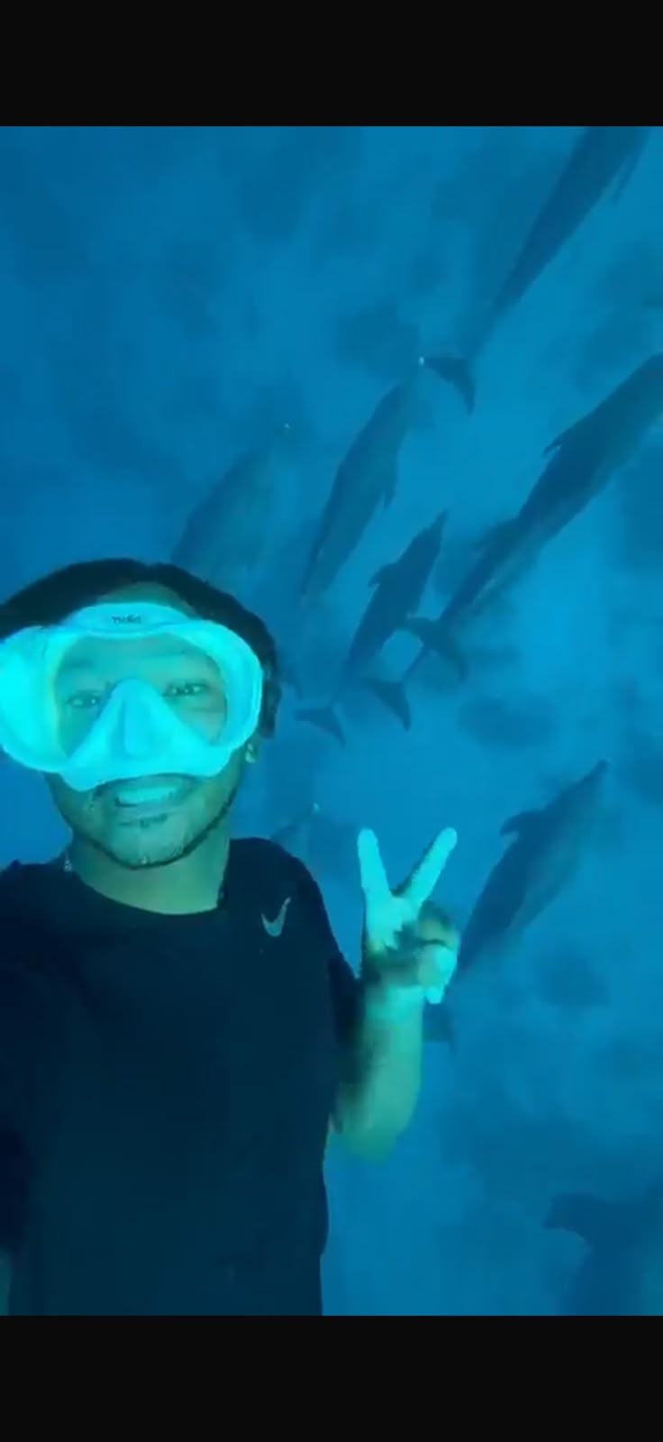 Schnorchler mit Maske zwischen Delfinen beim Dolphin House