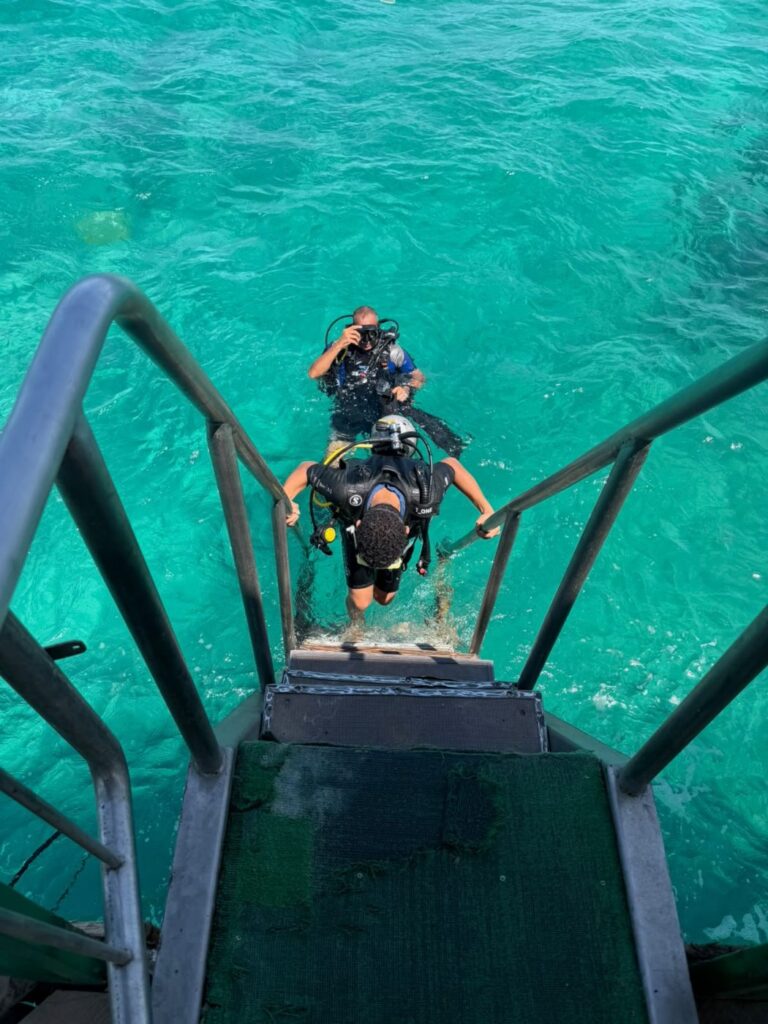 Taucher steigt ueber die Treppe vom Steg ins tuerkisfarbene Rote Meer