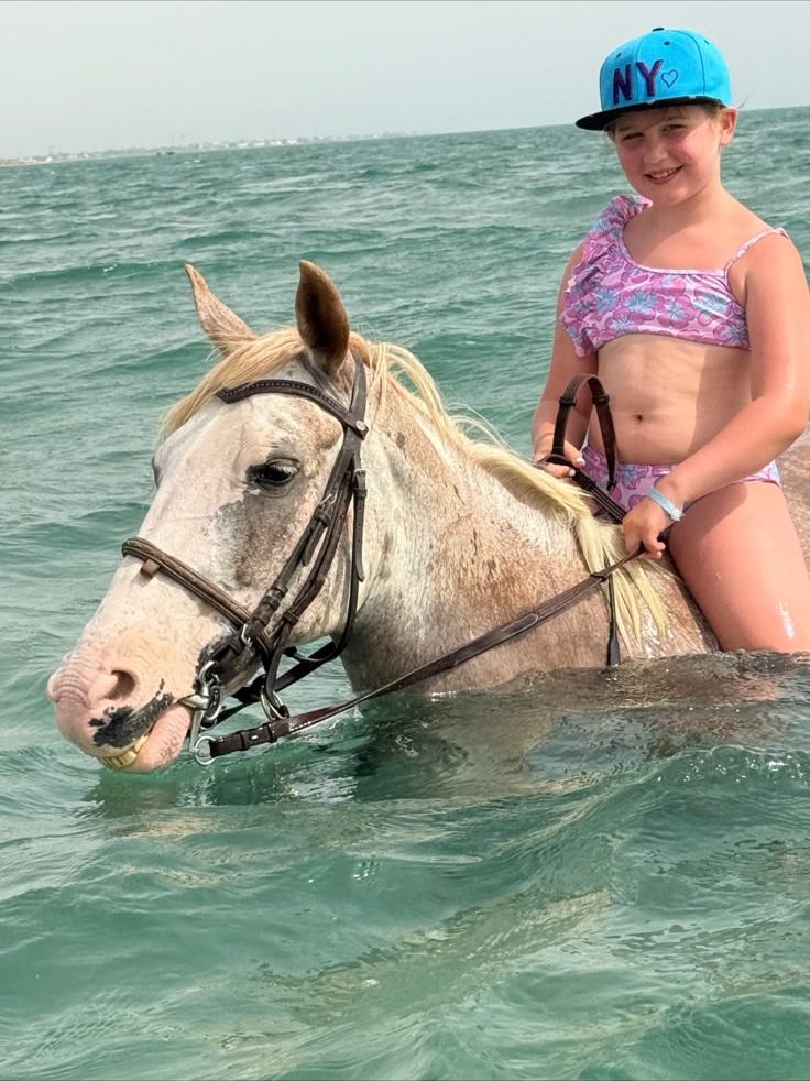 Schwimmen mit Pferden im Roten Meer bei Hurghada